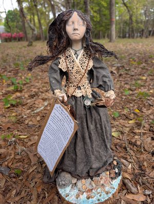 The Ghost of Wild Rose  by Robin Fleming (2026)