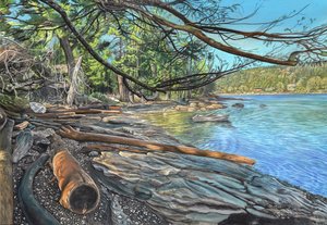 Magical Mudge Island by Jolene Aarbo (2026)