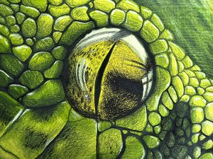 Snake Eye by Marin Wolf (2026)