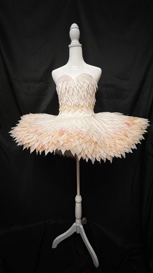 My Little Ballerina by Jayne Tucker (2023)