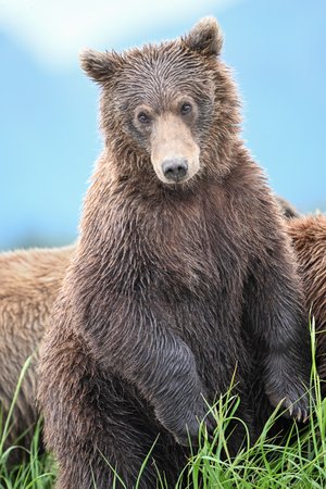 What the Eyes Know Patterson by Matt Patterson