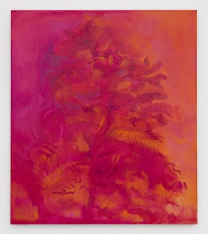 Summer by Jamie Cook Simon