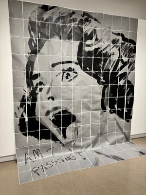 Am I Passing?  by Rebecca Grant (2025)