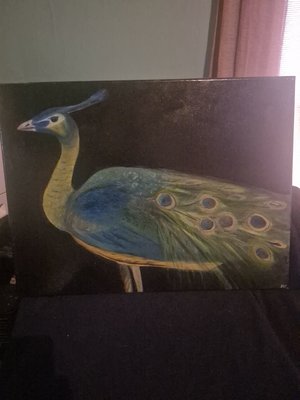 Peacock by Malori Cornett (2005)