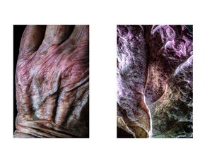 Sara Allen — portfolio