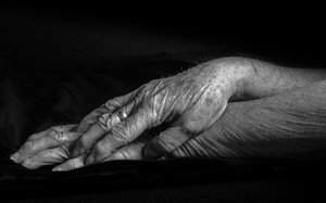 Hand Over Hand by Sara Allen (2022)