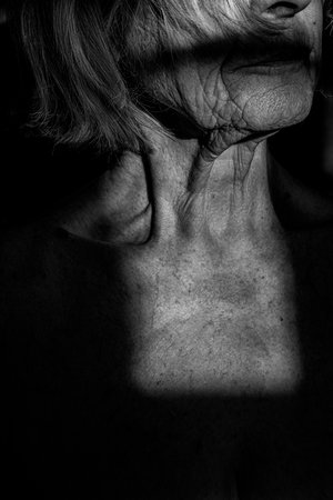 Neck in Evening Sunlight by Sara Allen (2023)