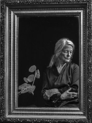 Contemplation by Sara Allen (2026)