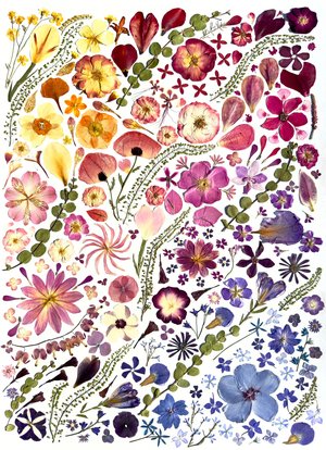 Gretchen TenBrook
