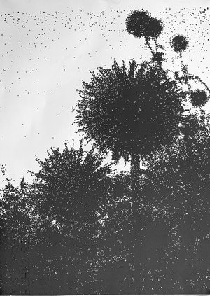 Globe Thistle by Maureen Palmieri (2024)