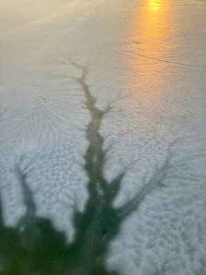 Winter Residuals, Reflection by Allen Carlson