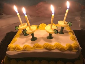 Lynda’s Birthday by Michele DiMeglio (2019)