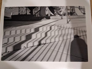 Shadows by DANIELLE M (2020)