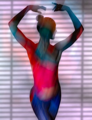 Richard Van Fleet — portfolio