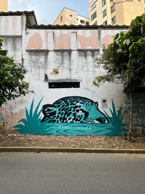 “Jaguara Azul” by Mariano Arrien (2026)