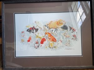 Me! Me! Koi! by Christine Doolittle (2026)