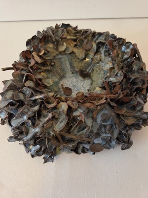 Nest by Nancy Reese (2023)