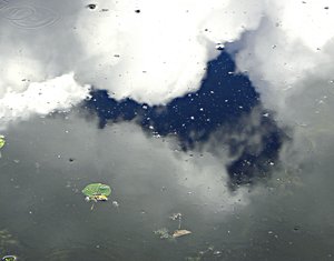 Window in a Cloud by Belinda Sellari (05/2025)