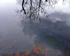 Looking Under Water with Clouds by Belinda Sellari (05/2026)