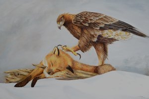 The Eagle'sHunt: Dominance of the Sky by Navjot SINGH