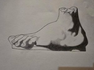 Aditi Dayal — portfolio