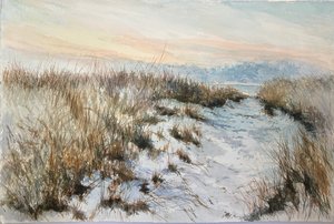 Carolyn Connell