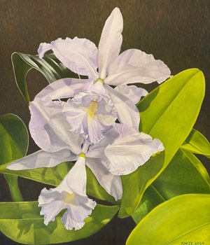 Christine Knize