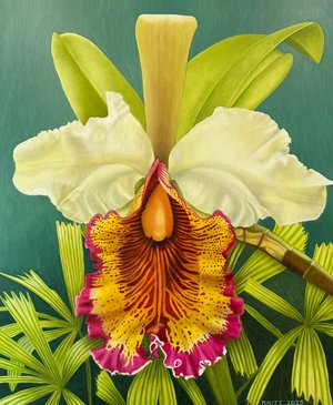 Cattleya Dowiana by Christine Knize (2025)