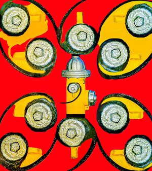 Fireplug Flower Blooming by Douglas Beardsley (2026)