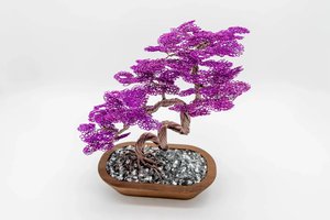 Twisted Keegan Bonsai with Twisted Trunk by Nicki Zimmerman (2026)