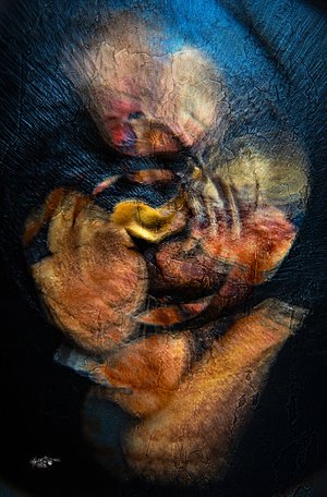 A Study of Chicken Psychosis by David Day (2026)