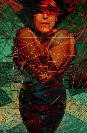 Heart Of Glass by corrie ancone (2012)