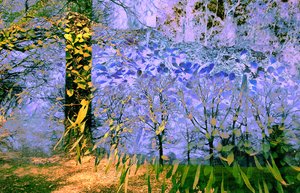 drowning beauty by corrie ancone (2024)