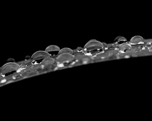 Drops on grass 03 by Lu Young