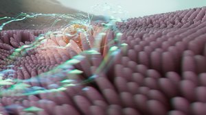 Threshold of Becoming by Craig Zuckerman (2026)