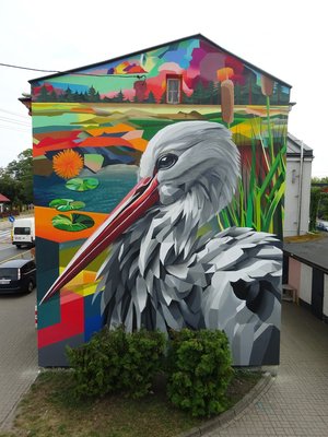 Stork by Dominik Rutkowski