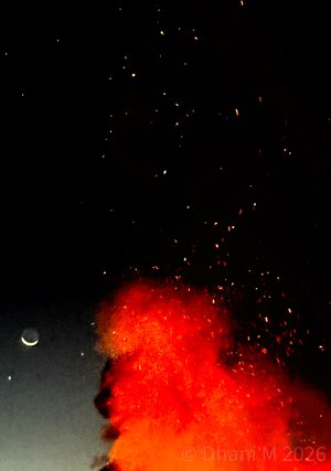 Dhani Marin — portfolio