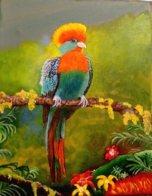 Resplendent Quetzal by Karen Kraepel