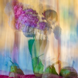 Ranunculus by Glenn Cormier (2023)