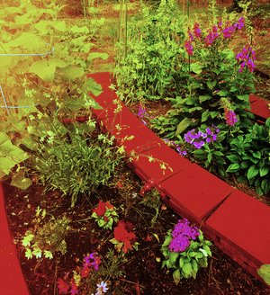 Garden Path by Rich Fedder