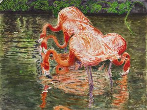Flamingos by Moshe Kutten