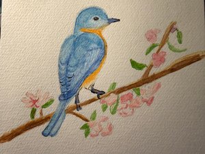 Rachael Ward — portfolio