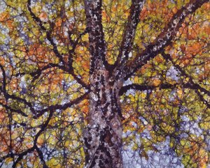 Golden Autumn by Roberta Winjum