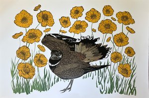 Protection by Emily Ciecka