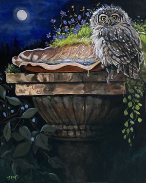Who-o-o Invited You? by Carol Sims (2023)