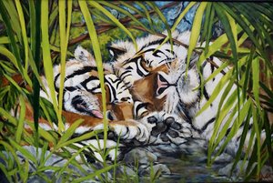Sleeping Tigers by Carol Sims (2024)