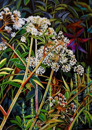 Water Hemlock by Carol Sims (2026 )