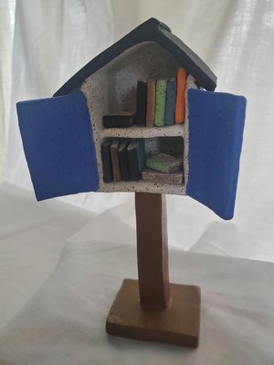 Read Banned Books by Nicole Schleckman (2026)