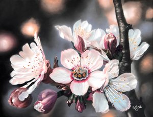 Touch Of the Lights by Birutė Jak (2025)