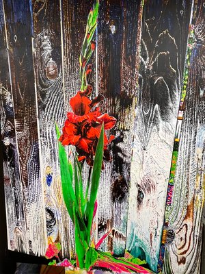 Paul Wyss
